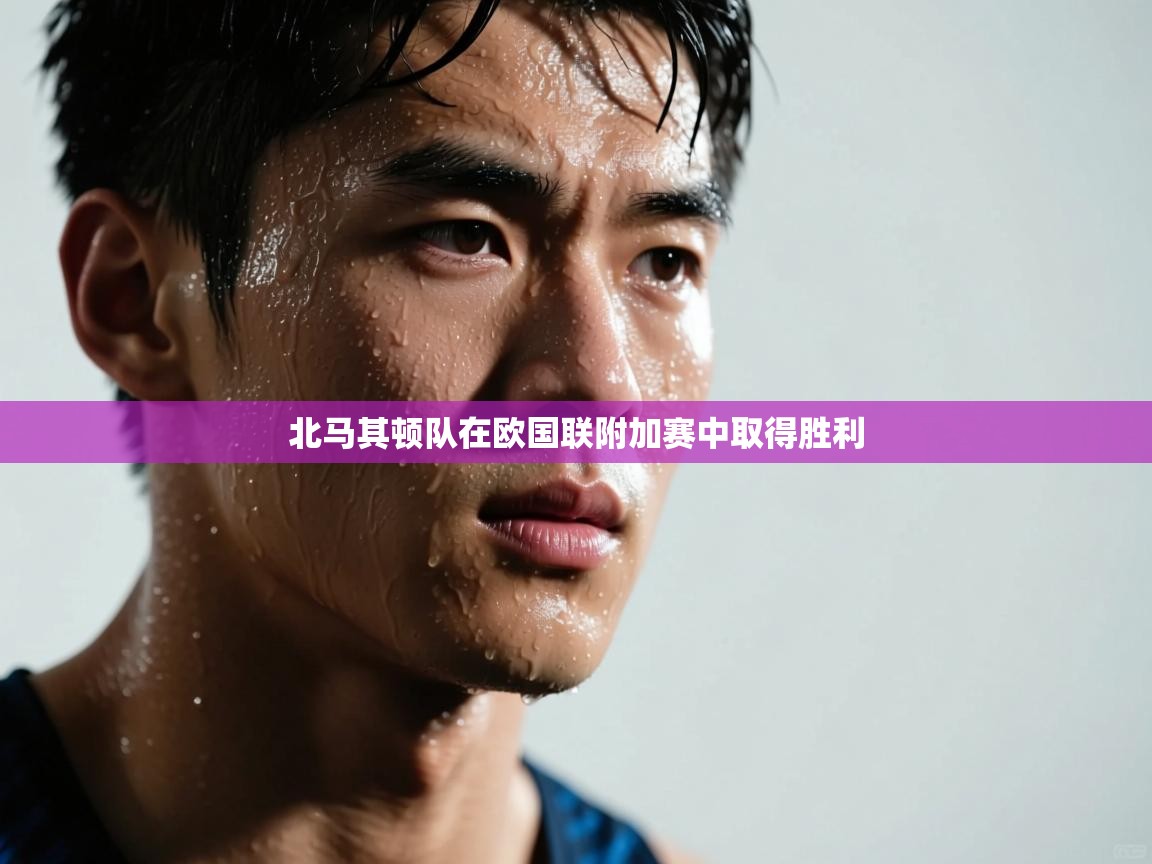 北马其顿队在欧国联附加赛中取得胜利