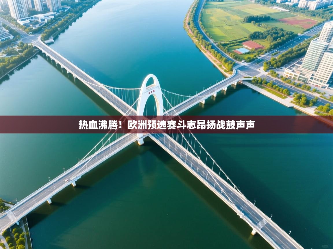 热血沸腾！欧洲预选赛斗志昂扬战鼓声声  第2张