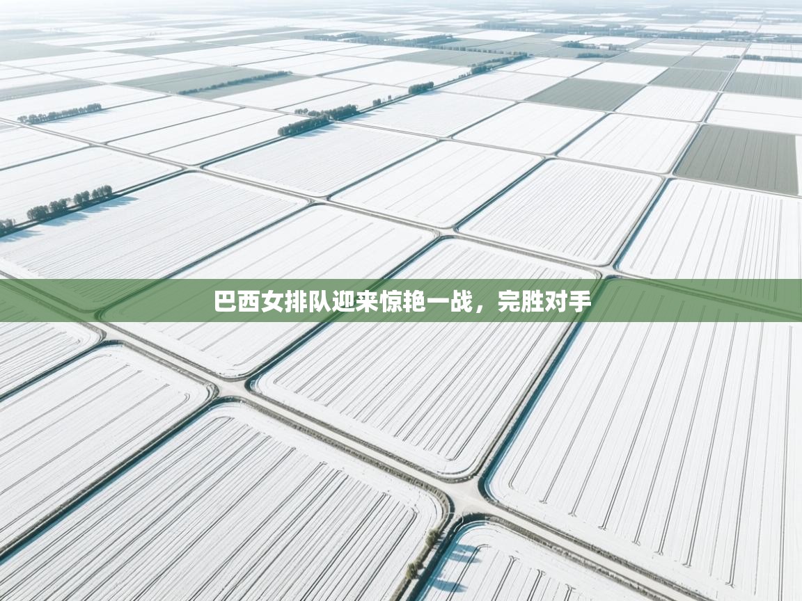 巴西女排队迎来惊艳一战，完胜对手