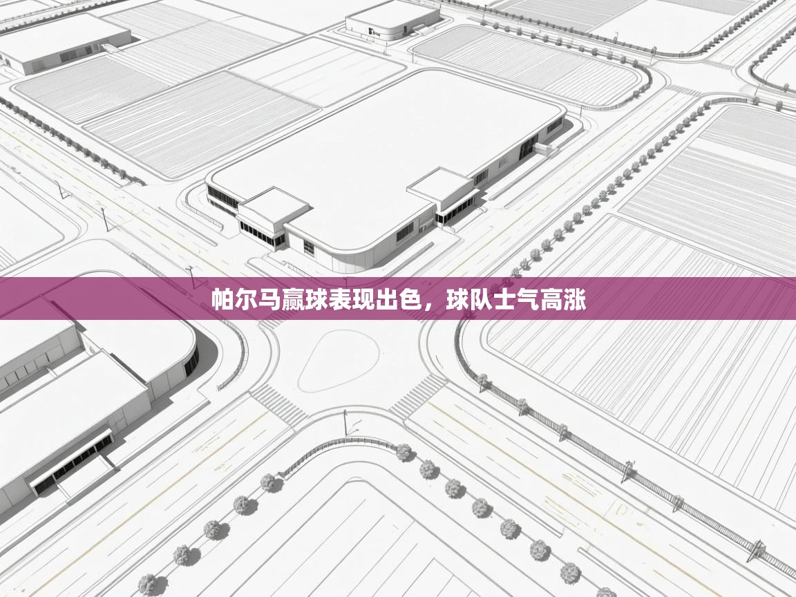 帕尔马赢球表现出色，球队士气高涨  第2张