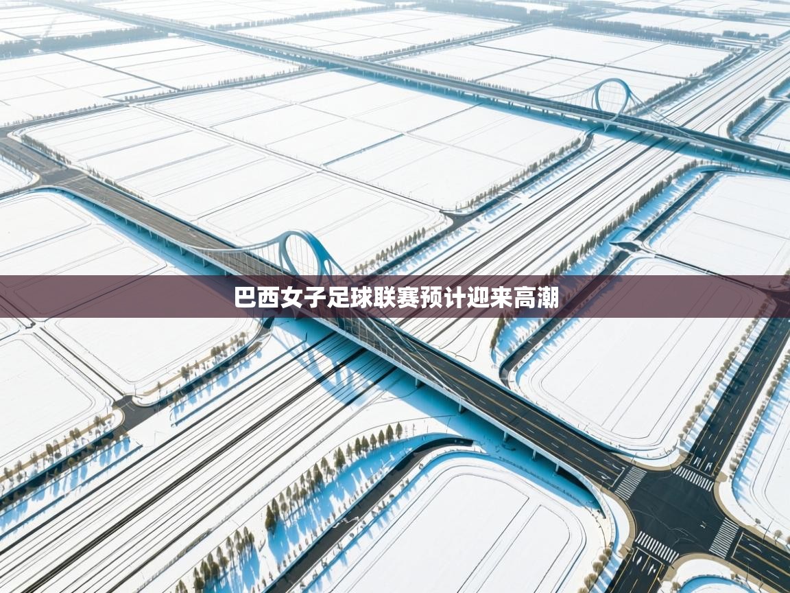 巴西女子足球联赛预计迎来高潮